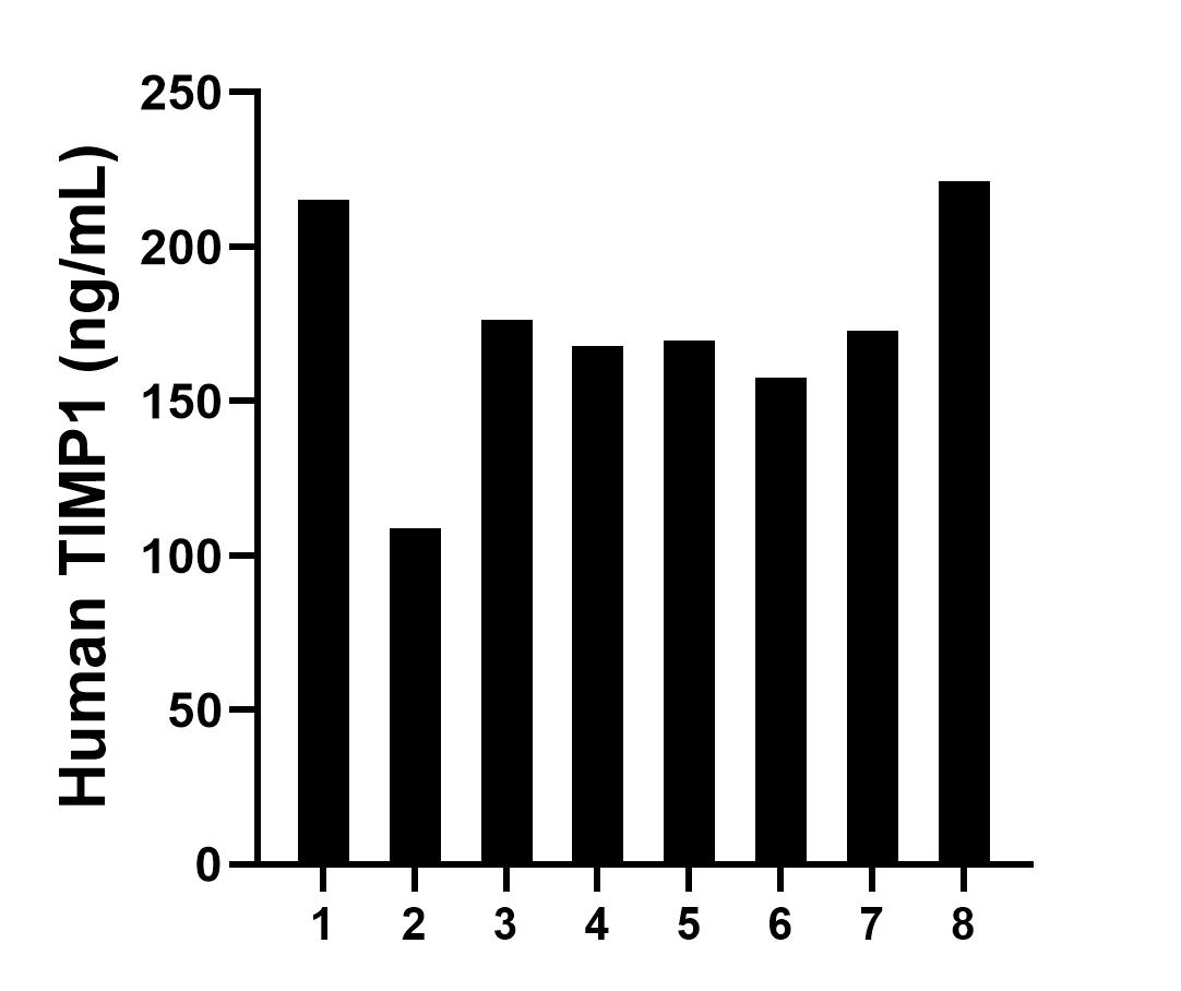 Serum of eight individual healthy human donors was measured. The human TIMP1 concentration of detected samples was determined to be 173.6 ng/mL with a range of 108.8 - 221.2 pg/mL.